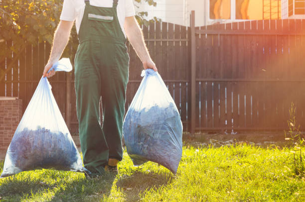 Best Shed Removal  in Crestline, CA